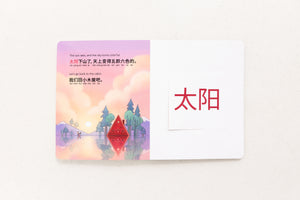 Chinese Book Bundle